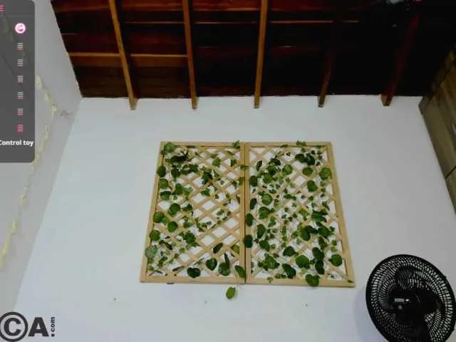 isabelasweet on BongaCams