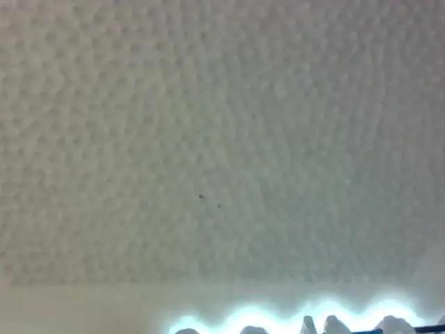 Ladyonlady on BongaCams