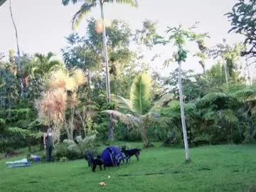 kaileeshy on Chaturbate