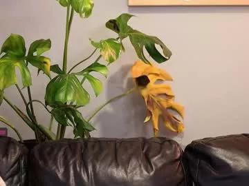 prosbate on Chaturbate