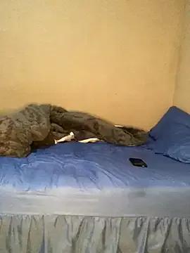 Jerkoftrades on StripChat