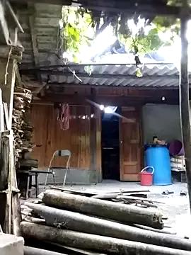 lmc-zz — Ngy mi an lnh