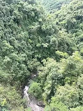 Lyon_vach on StripChat