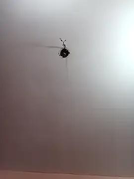 Megla879 on StripChat