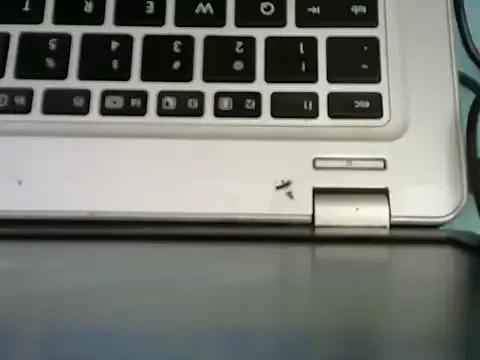 Nasty_sonnie on StripChat