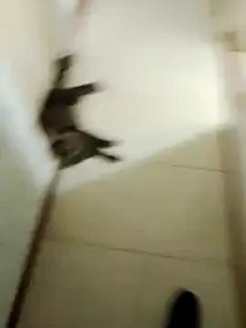 Shadow_Secret on StripChat