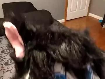 bloodmoonwolfie88 on Chaturbate 