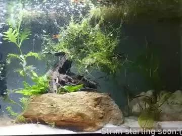 booker_baxton on Chaturbate 