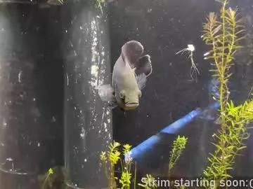 booker_baxton on Chaturbate 