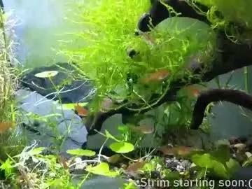 booker_baxton on Chaturbate 
