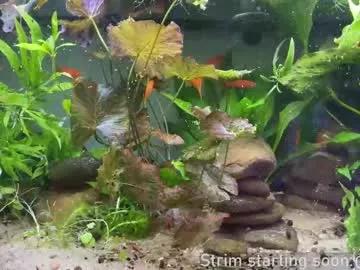 booker_baxton on Chaturbate 