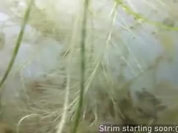 booker_baxton on Chaturbate 