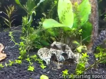 booker_baxton on Chaturbate 