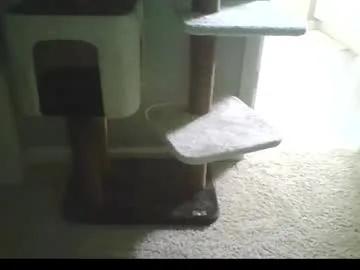 cammyman6900 on Chaturbate 