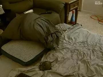 dilldough405 on Chaturbate 