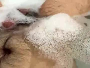 nuttspit — Nuttspit's room #hairy #cock #smallcock  #grower