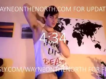 waynenorth on Chaturbate
