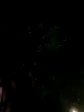 __BabyShowPublic__ on StripChat 