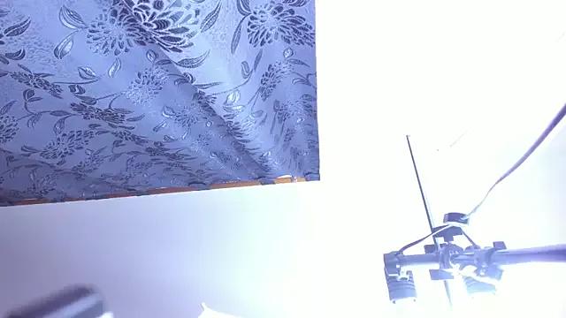 ana_foxi on StripChat 