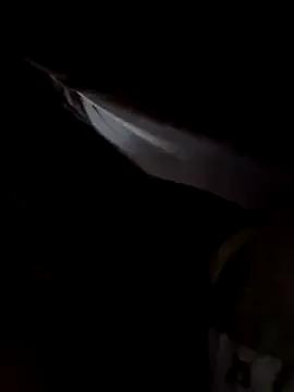 ellie_ssexy on StripChat 