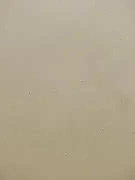 Indian_bhabhi01's avatar