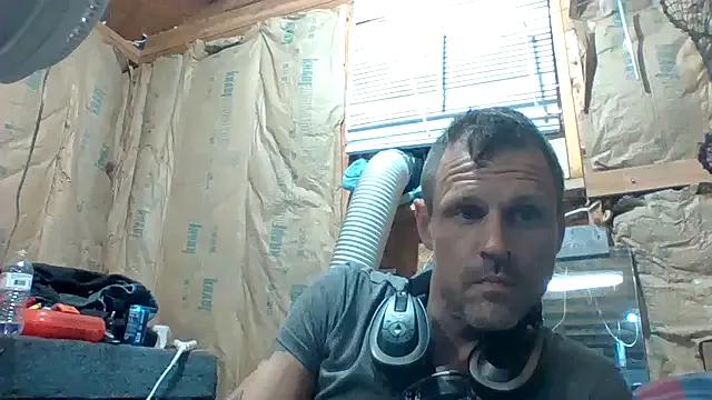 SillyRabbitz on StripChat 