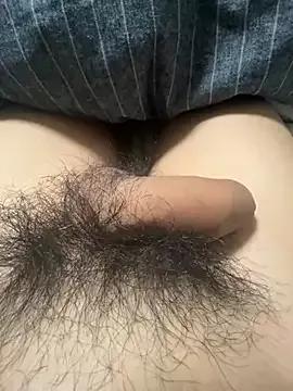 toto3119 on StripChat 