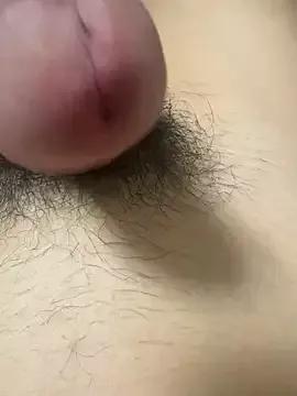 toto3119 on StripChat 