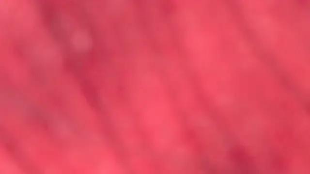 white_sexy_ on StripChat